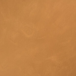 10001 ديجون يلو