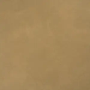 10248 أوليف جاردن