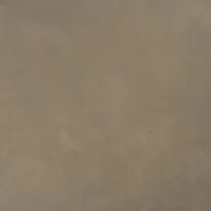 10249 فاندايك براون
