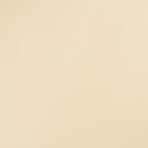 10342 سابل ستون