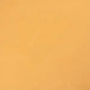 10428 ماسالا