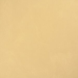 10430 سوفت سفانا