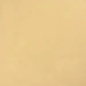 10430 سوفت سفانا