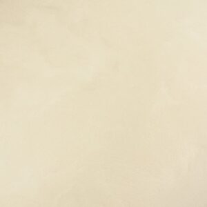 10679 ووشد لينين