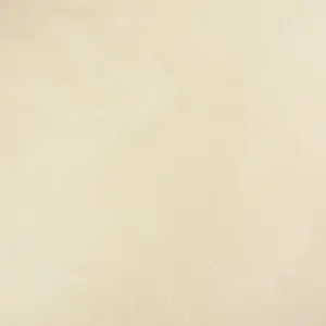 10679 ووشد لينين