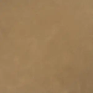 10963 غولدن برونز