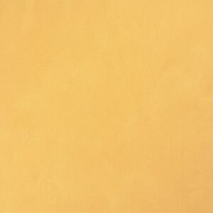 1109 مديترنيان اوليف