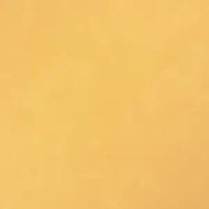 1109 مديترنيان اوليف