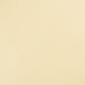 12080 سوفت راديانس