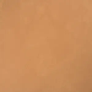12124 ناتشرال كلاي