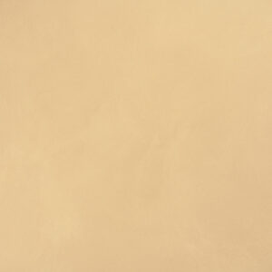 12125 إيمبراشن