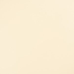 1519 فانيلا لاتيه