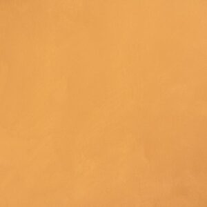 3343 برنت ارشي