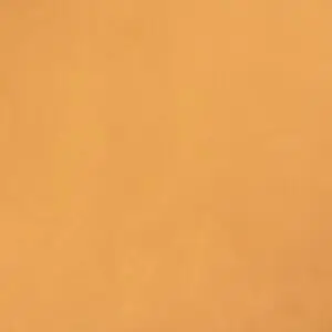 3343 برنت ارشي