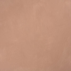 20120 أورجانك رد