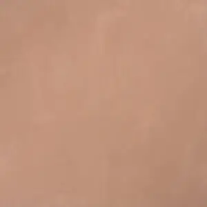 20120 أورجانك رد