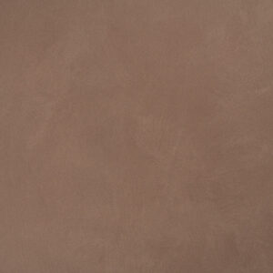 20142 داي دريم