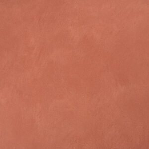 20208 بوتري ريد