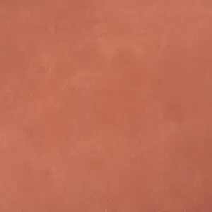 20208 بوتري ريد