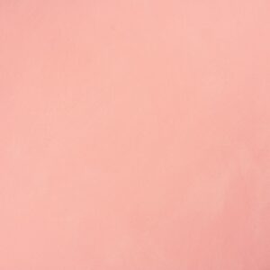 2619  روز باسكت