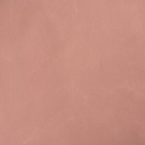 2856 وورم بلش