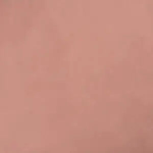 2856 وورم بلش