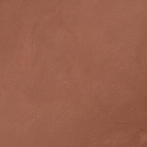 2951 سفستيكيتيد ريد