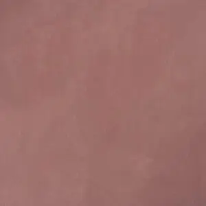 3343 داستي بيربل