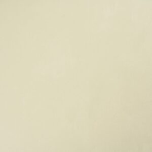 8281 بايل لندين